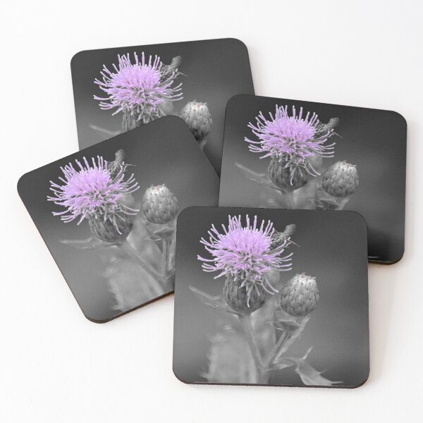 Item preview, Thistle designed and sold by ReneeKennedy.