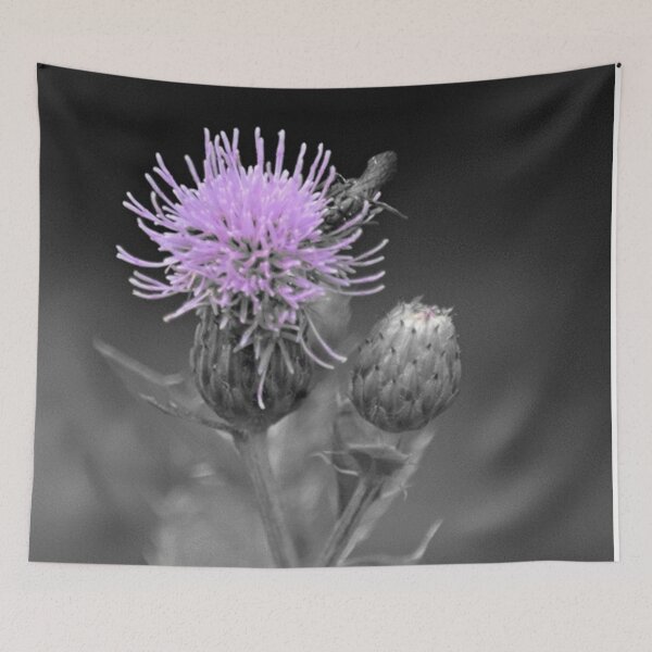 Item preview, Thistle designed and sold by ReneeKennedy.