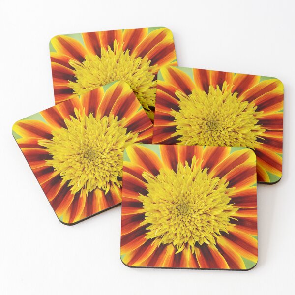 Item preview, Gazania  Totonaca  Treasure flower  Sunbathers Series designed and sold by Chris Burrows.
