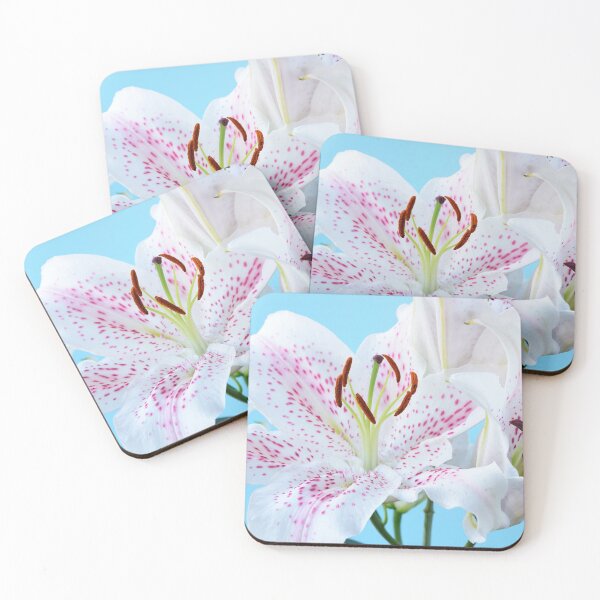 Item preview, Lilium  'Extravaganza'  Lily  Oriental hybrid  designed and sold by Chris Burrows.