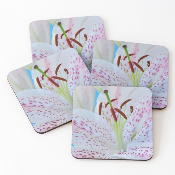 Item preview, Lilium 'Extravaganza' Lily Oriental hybrid designed and sold by Chris Burrows.