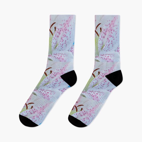 Item preview, Lilium 'Extravaganza' Lily Oriental hybrid designed and sold by Chris Burrows.