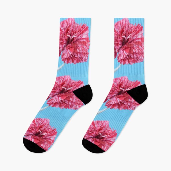 Item preview, Dianthus  'Cosmic Swirl Red'  Pink   designed and sold by Chris Burrows.