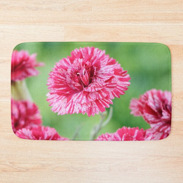 Item preview, Dianthus 'Cosmic Swirl Red' Pink designed and sold by Chris Burrows.