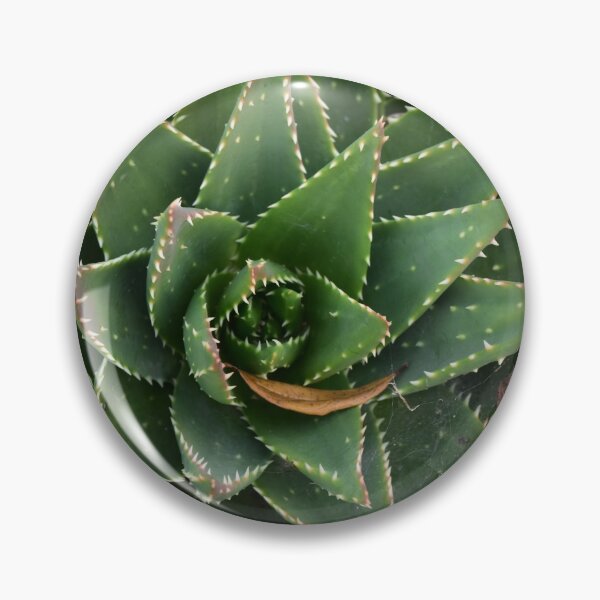 Item preview, Succulent  designed and sold by GBGart.