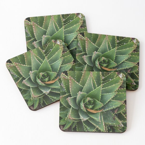 Item preview, Succulent  designed and sold by GBGart.