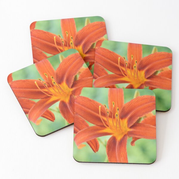 Item preview, Hemerocallis  'Sammy Russell'  Daylily  designed and sold by Chris Burrows.