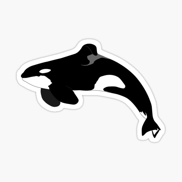 Vista previa del artículo con la obra «Orca Tuar», diseñado y vendido por finsandflukes.
