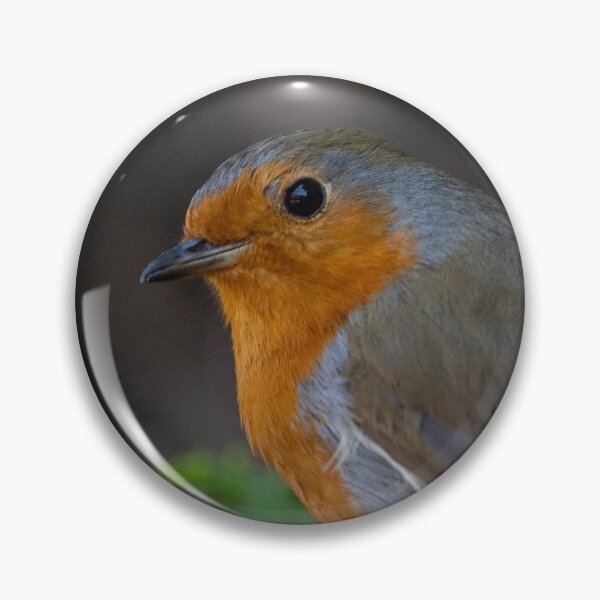 Item preview, Robin designed and sold by rawshutterbug.
