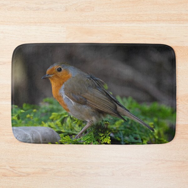Item preview, Robin designed and sold by rawshutterbug.