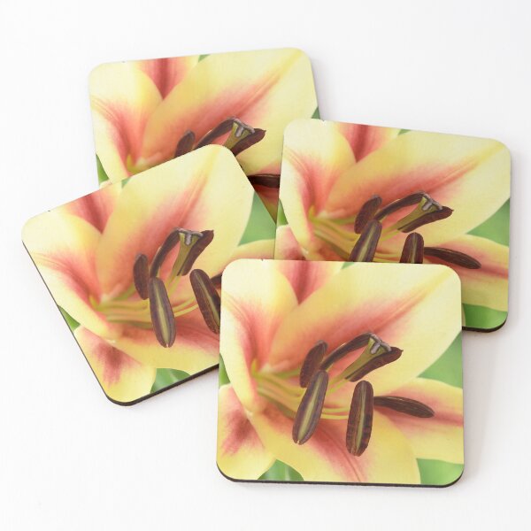 Item preview, Lilium  'Lavon'  Lily  Oriental Trumpet lily cross  OT lily  designed and sold by Chris Burrows.