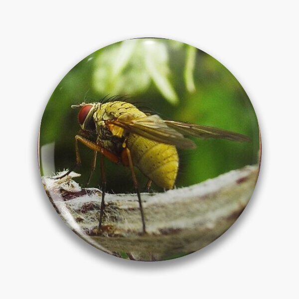 Item preview, I believe I can fly designed and sold by MeyrellesMartin.
