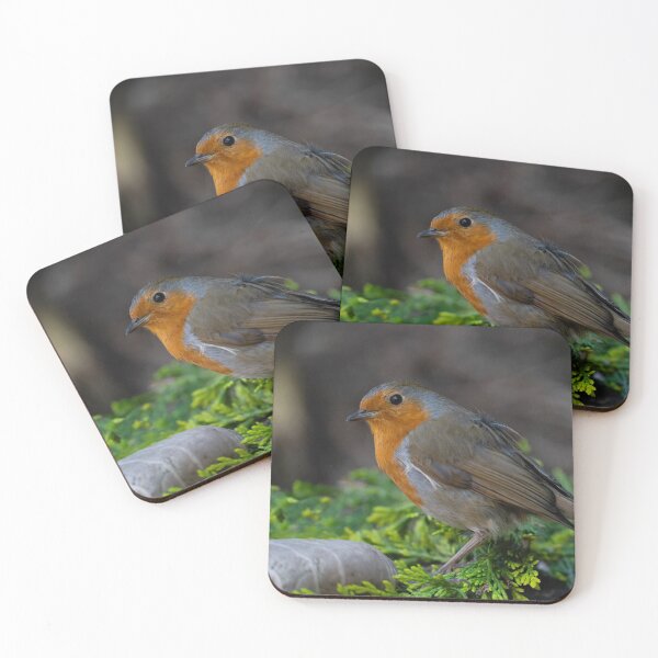 Item preview, Robin designed and sold by rawshutterbug.