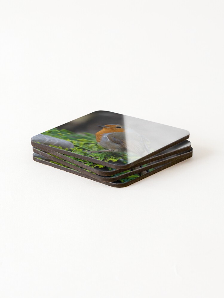 Thumbnail 4 of 5, Coasters (Set of 4), Robin designed and sold by rawshutterbug.