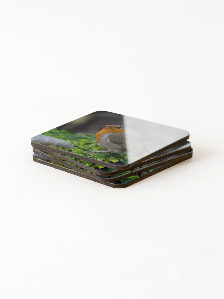 Thumbnail 4 of 5, Coasters (Set of 4), Robin designed and sold by rawshutterbug.
