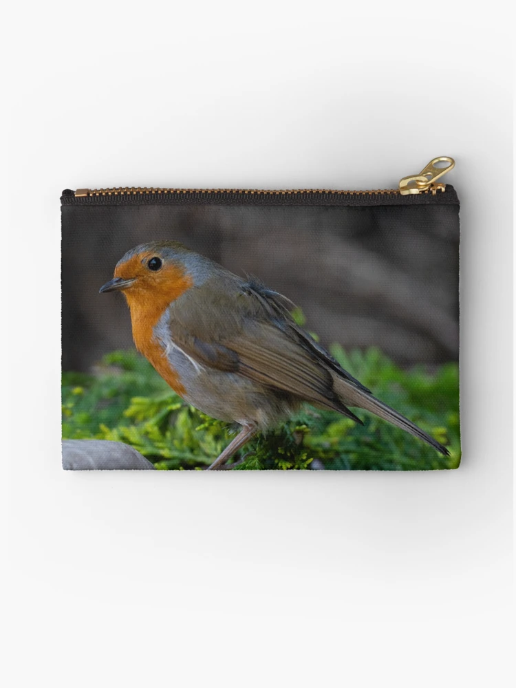 Thumbnail 1 of 4, Zipper Pouch, Robin designed and sold by rawshutterbug.