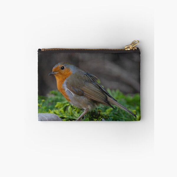 Item preview, Robin designed and sold by rawshutterbug.