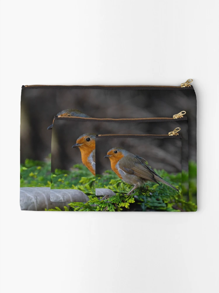Thumbnail 2 of 4, Zipper Pouch, Robin designed and sold by rawshutterbug.
