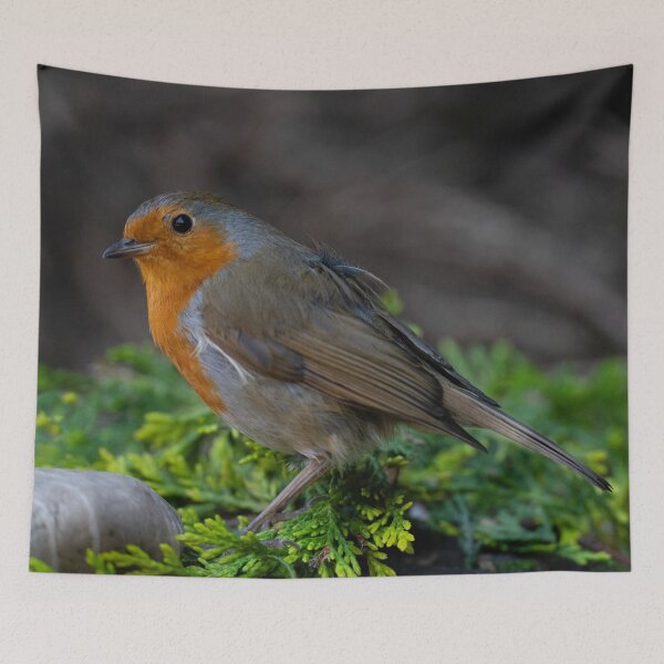 Item preview, Robin designed and sold by rawshutterbug.