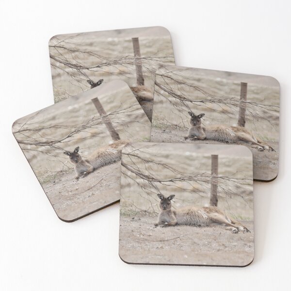 Item preview, Wild Kangaroo designed and sold by imaginethis.