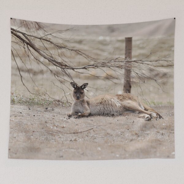 Item preview, Wild Kangaroo designed and sold by imaginethis.