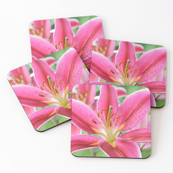 Item preview, Lilium  'Joop'  Oriental hybrid lily  designed and sold by Chris Burrows.