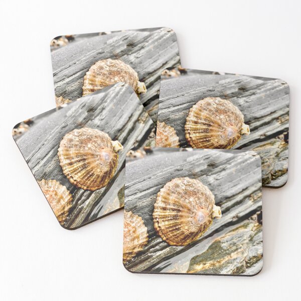 Item preview, Seashell designed and sold by IBMClothing.