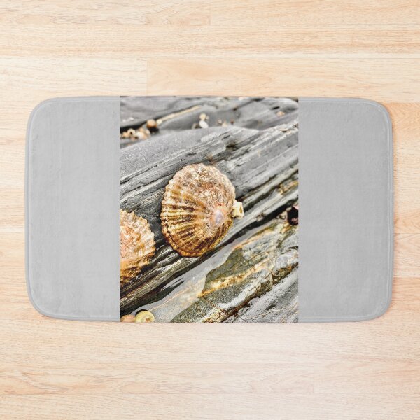 Item preview, Seashell designed and sold by IBMClothing.