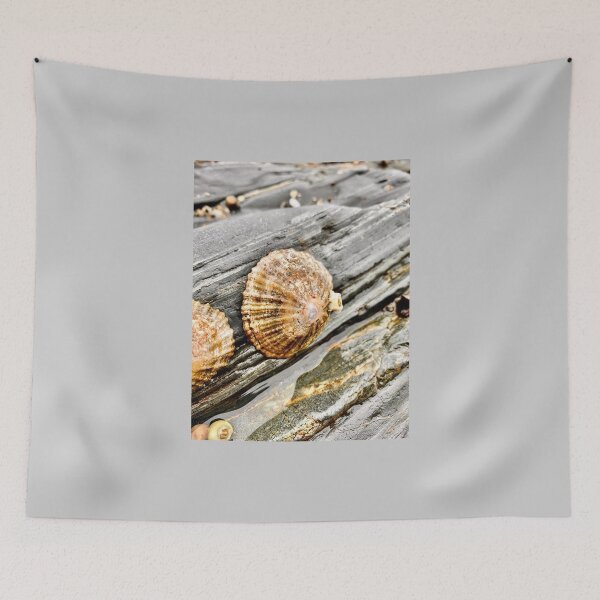 Item preview, Seashell designed and sold by IBMClothing.