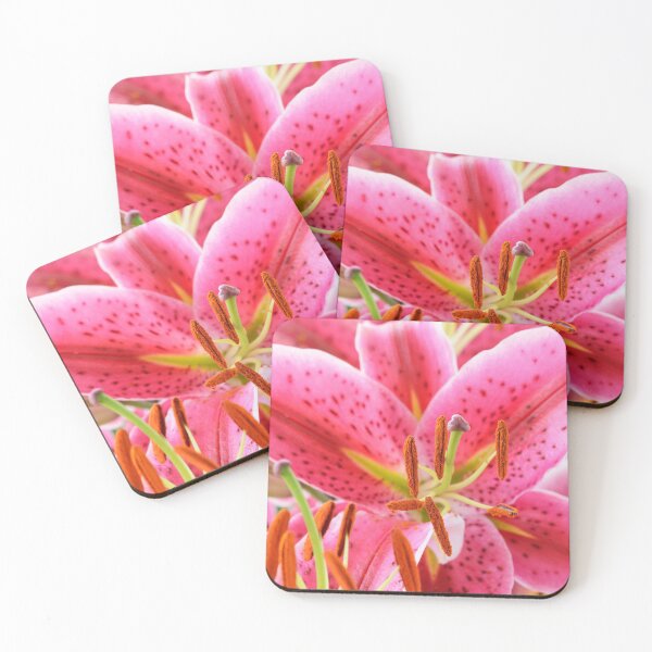 Item preview, Lilium  'Star Gazer'  Oriental hybrid lily  designed and sold by Chris Burrows.
