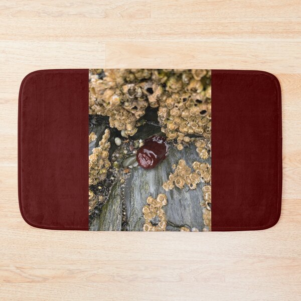 Item preview, Beadlet Anemone designed and sold by IBMClothing.