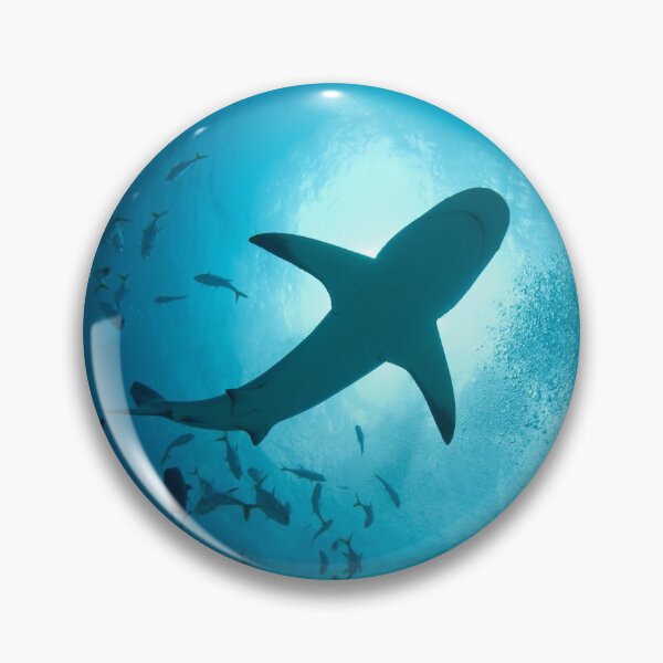 Item preview, Shark Against the Sun designed and sold by Caitlin Chock.
