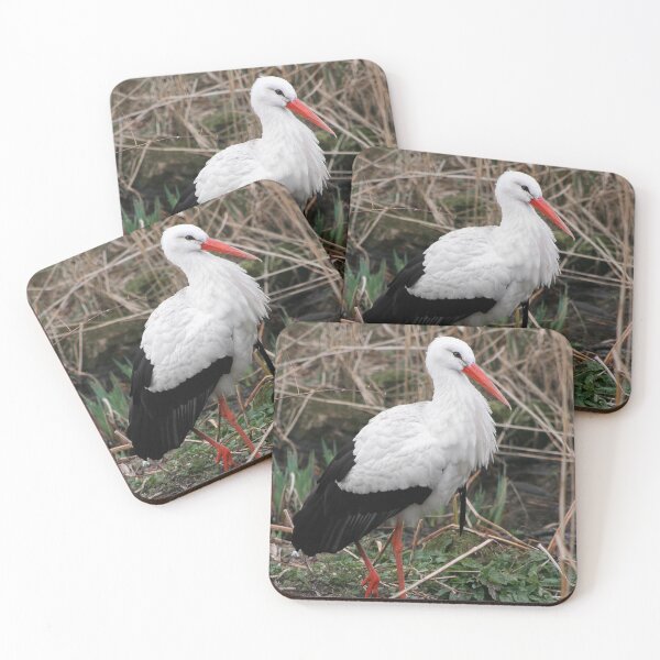 Item preview, White stork  designed and sold by KcsArt87.