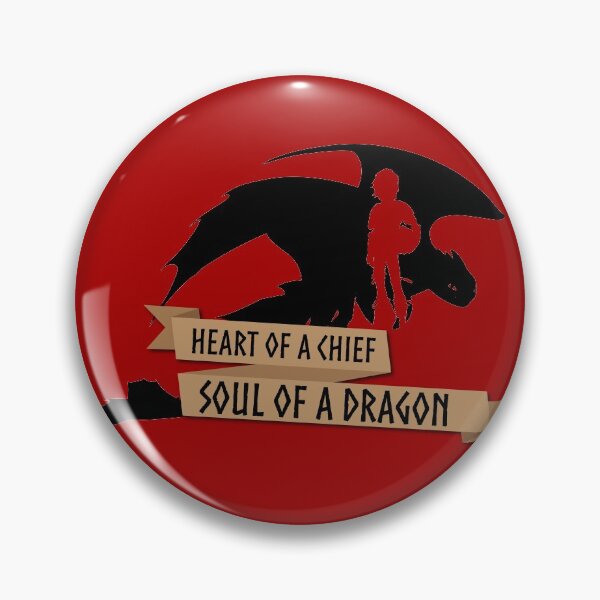 Dragon trainer Kids T-Shirt