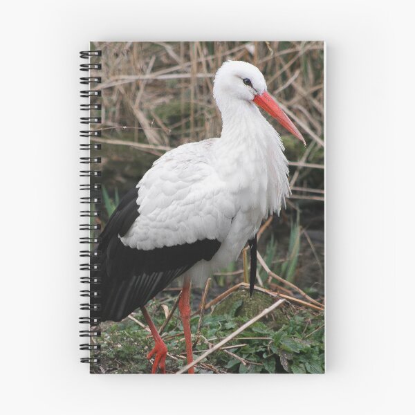 Item preview, White stork  designed and sold by KcsArt87.