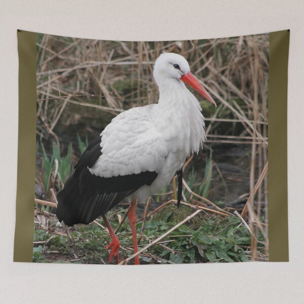 Item preview, White stork  designed and sold by KcsArt87.