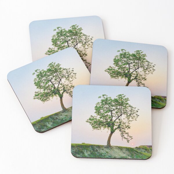 Item preview, Beautiful tree photography at sunset designed and sold by MindChirp.