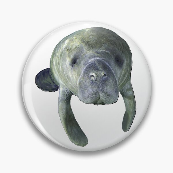 Artikelvorschau, Manatee-Frühlinge entworfen und verkauft von NINUNO.