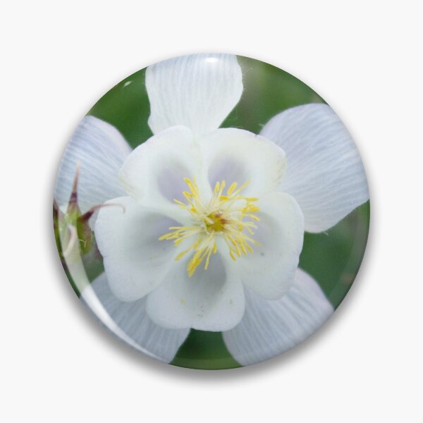 Item preview, White Flower designed and sold by ellenmpics.