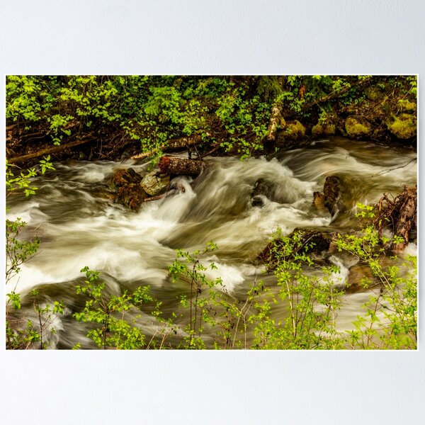 Item preview, "Not So" Dry Creek designed and sold by Bryan Spellman.