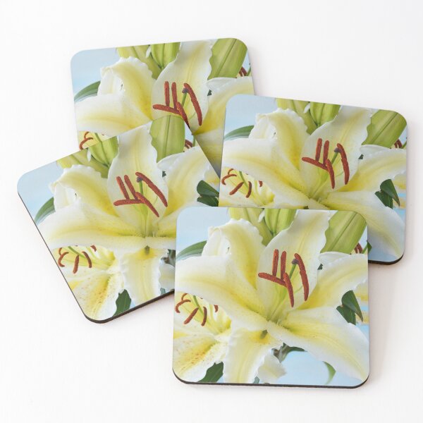 Item preview, Lilium  'Chill Out'  Oriental hybrid lily designed and sold by Chris Burrows.