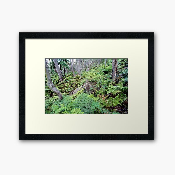 Item preview, Fern Gully designed and sold by Geoff Smith.