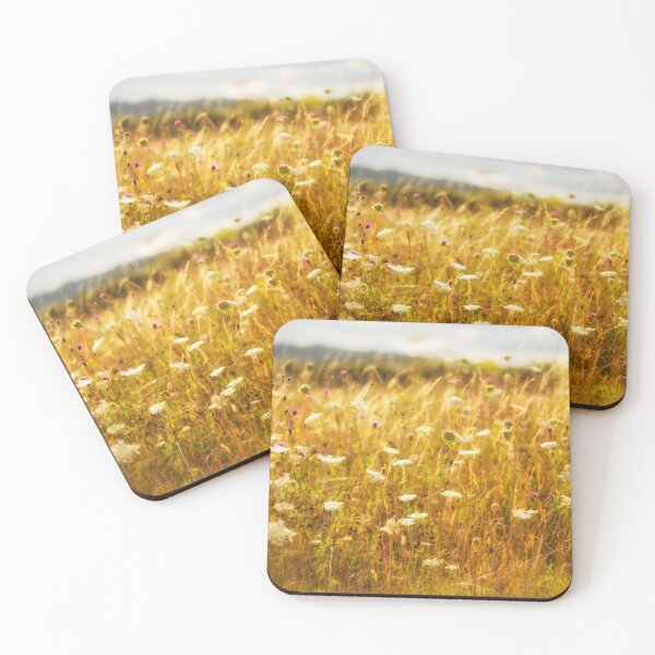 Dreams of a Summer Meadow Coasters (Set of 4)