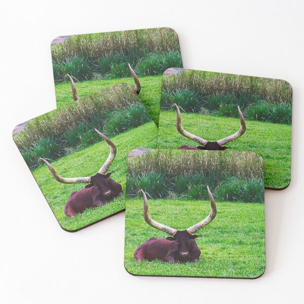 Item preview, Ankole Cattle in the Wild designed and sold by VickyGood.