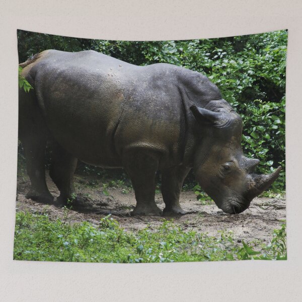 Item preview, Cal Rhino designed and sold by VickyGood.