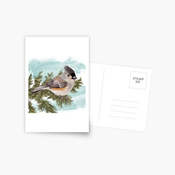 Tufted Titmouse Postcard