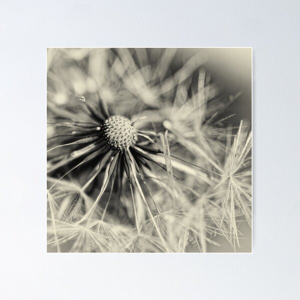 Item preview, Another Blowball... (square) designed and sold by Bob Daalder Photography.
