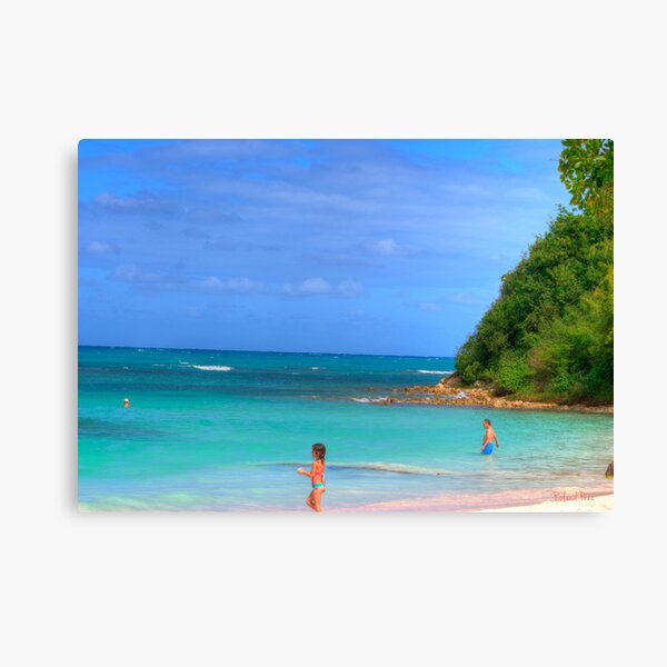 Beach in Antigua Canvas Print