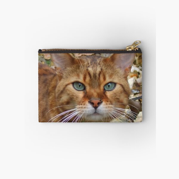 Item preview, Bengal Cat designed and sold by AnnDixon.