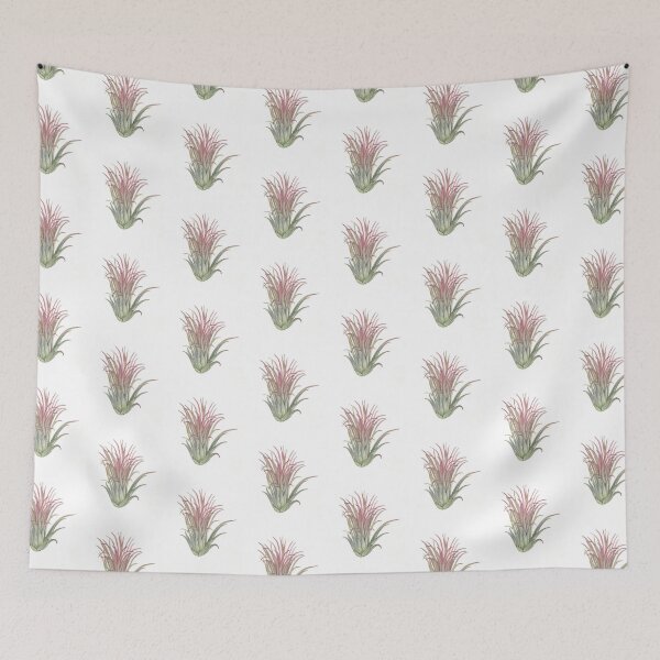 Item preview, Tillandsia. Airplant designed and sold by Antonina Sotnikova.